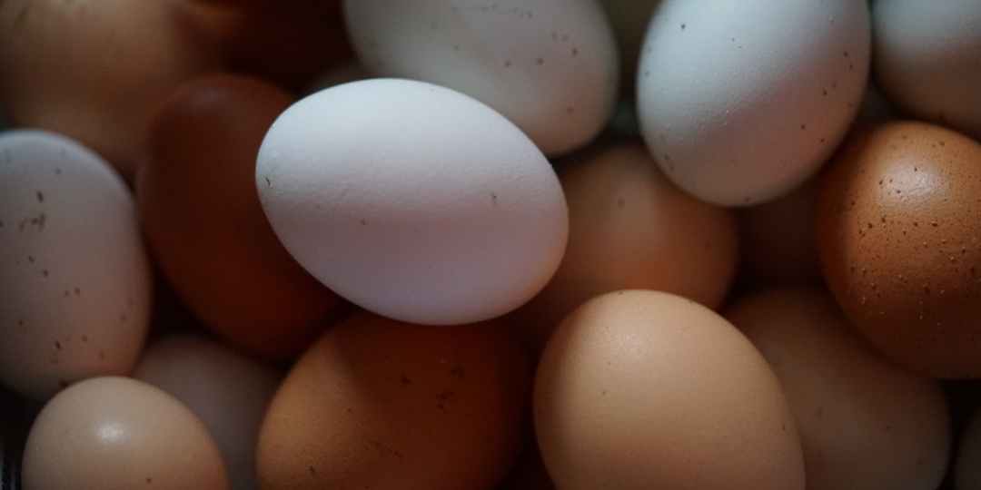 Дорого яичко ко Христову дню..