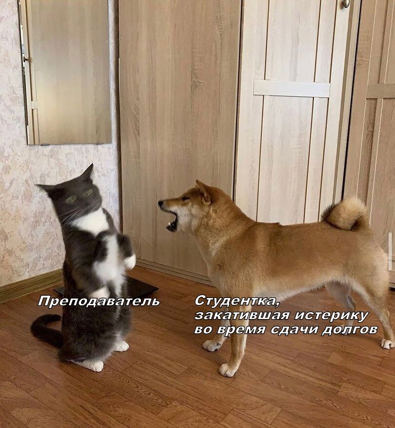 Ну как вот не стыдно