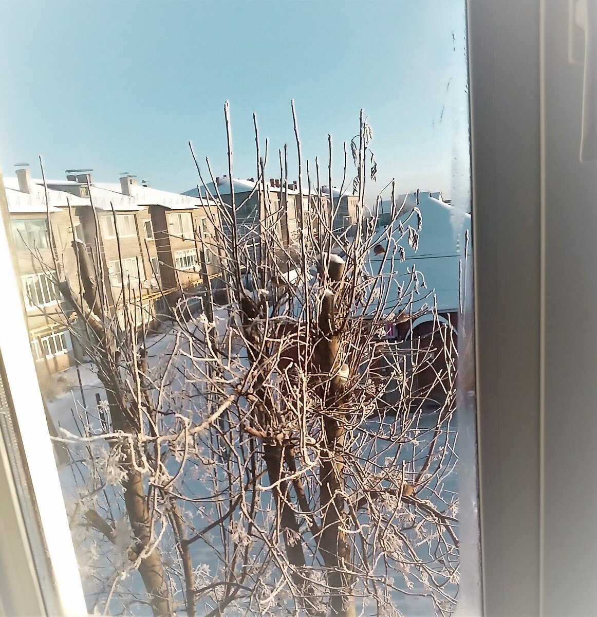 Зима за окном. Фото О. Камаловой.