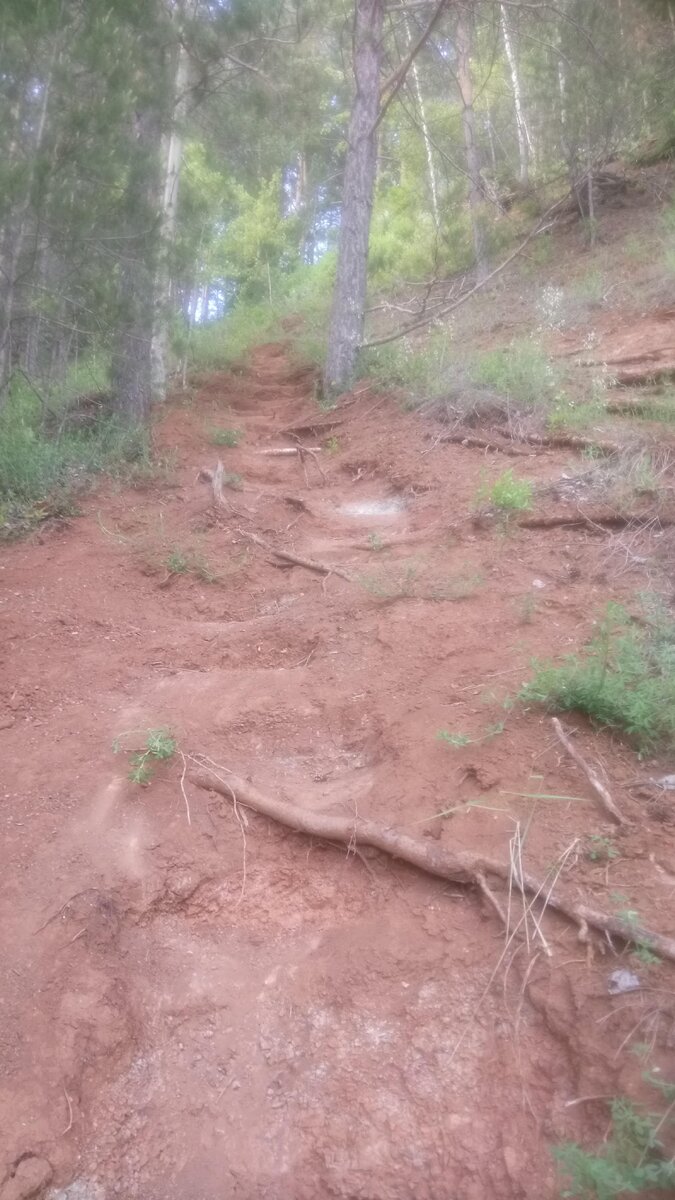 Тот самый крутой спуск-подъем (здесь вид снизу с полпути)