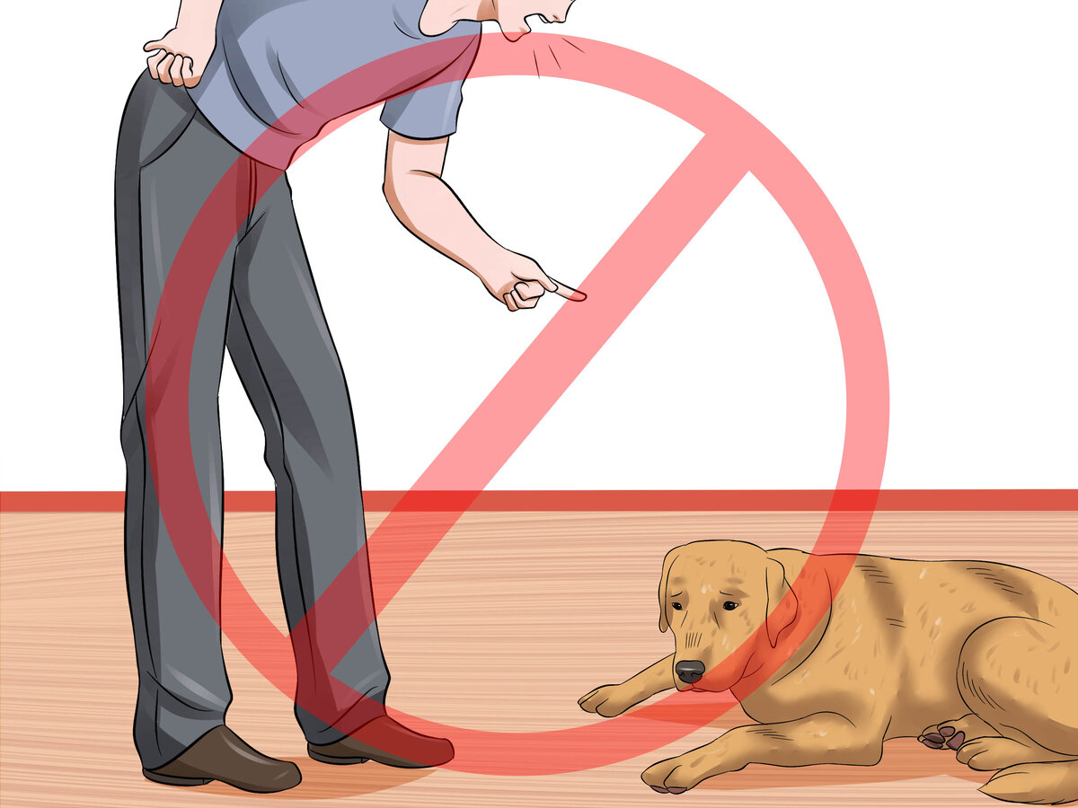 Фото  с сайта wikihow