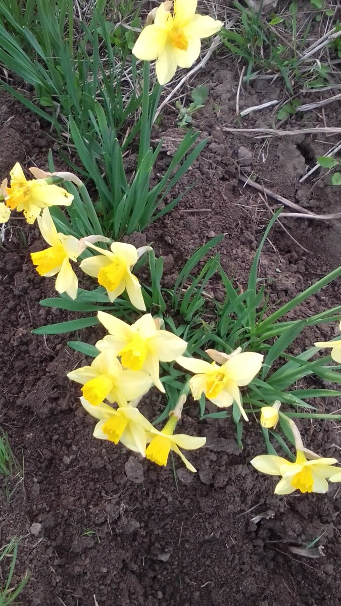 Сила - в знаниях