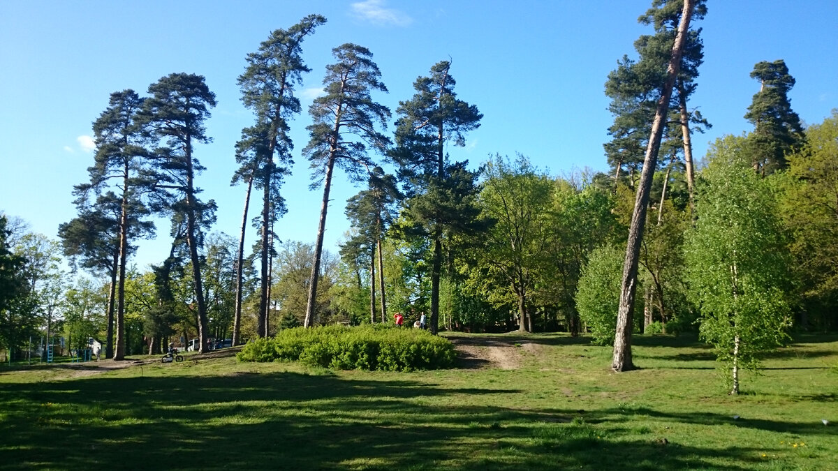 Парк Теодора Кроне