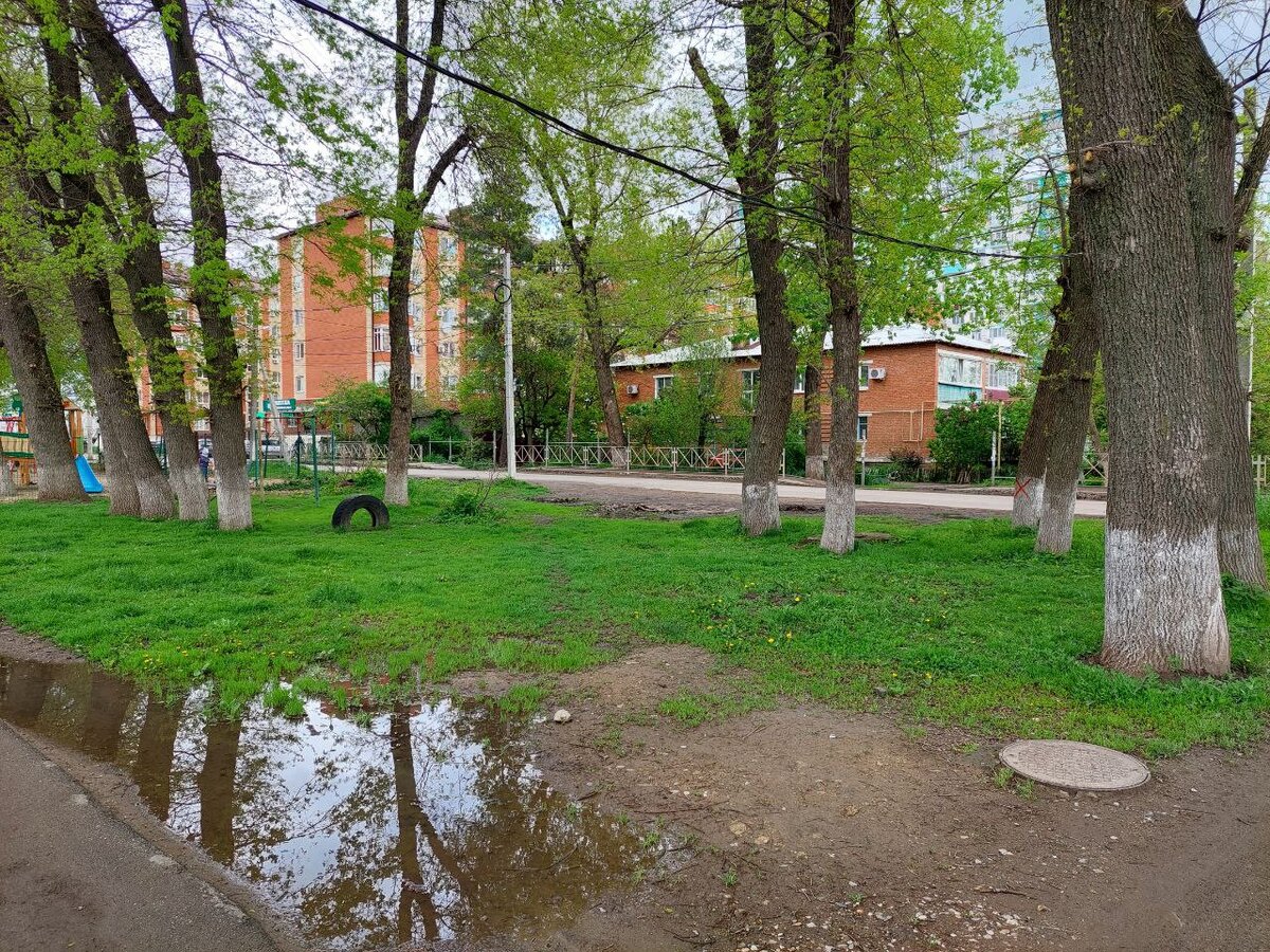 Фото: Максим Дмитриев, "Краснодарские известия"📷Фото: Максим Дмитриев, "Краснодарские известия"📷Фото: Максим Дмитриев, "Краснодарские известия"📷Фото: Максим Дмитриев, "Краснодарские известия"