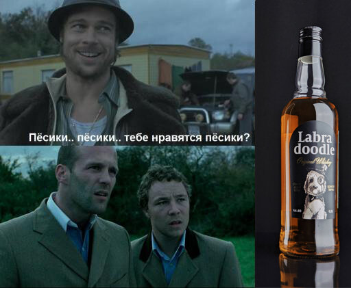 Как ты относишься к собачкам? 