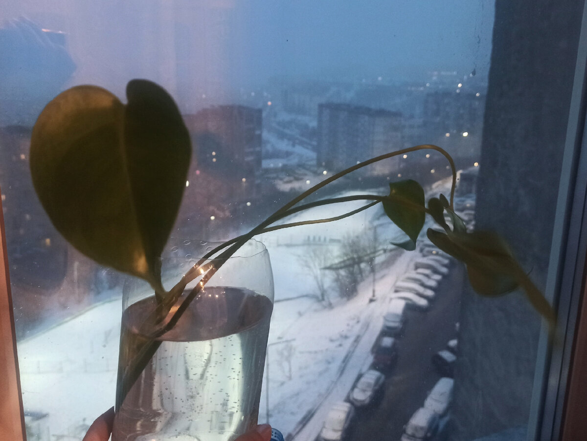 качество фото так себе, но уж как есть.. =)))