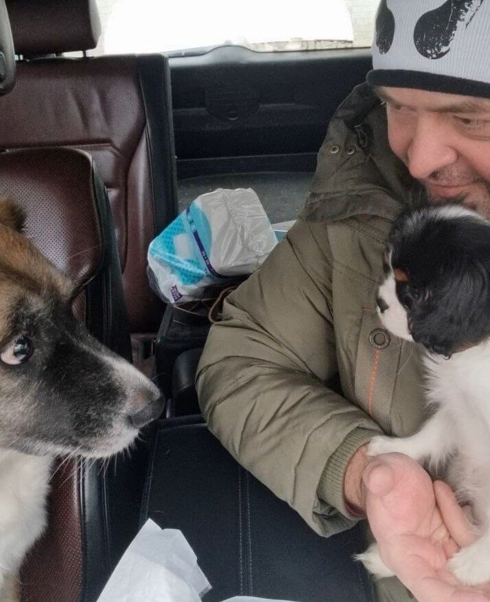 Знакомься, Мося, это твоя дочка