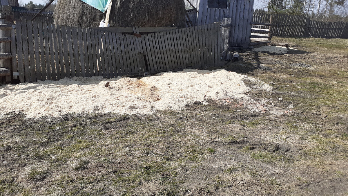 Опилки из-под сруба