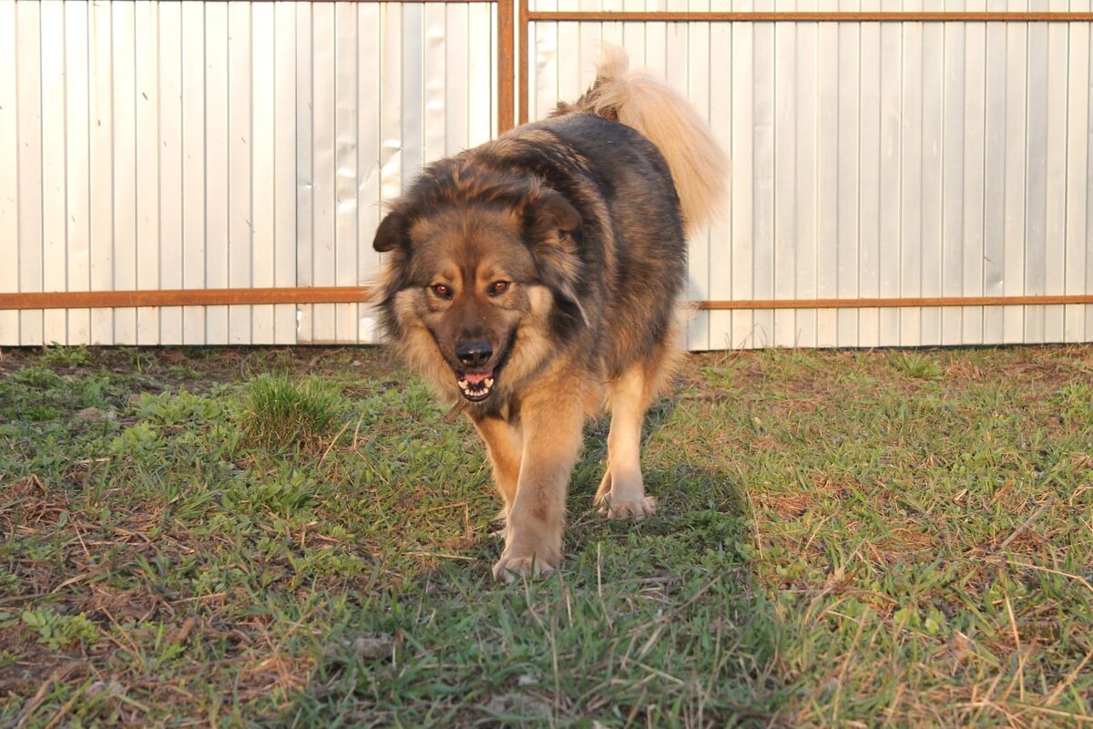 Скромное, лохматое облачко