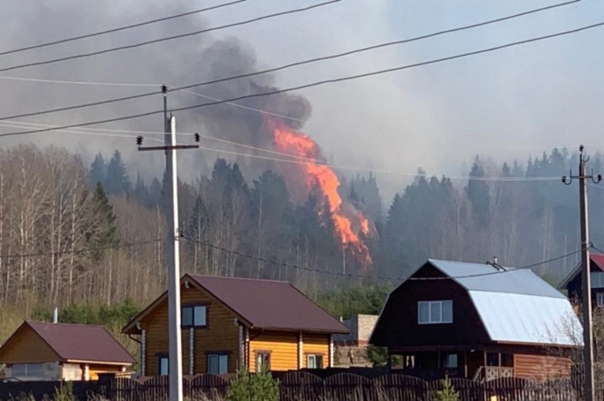    В Пермском крае у деревни тушили пожар площадью 23 гектара