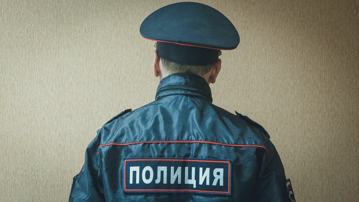     Деньги и шариковую ручку с золотым напылением украли у пассажира авиарейса «Москва (Домодедово) - Ижевск» .