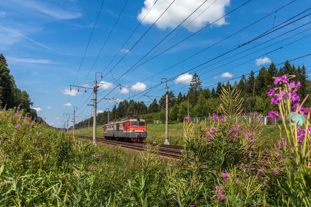 🚄 Электровозы и весенние пейзажи для ваших рабочих столов! | Октябрьская  железная дорога - филиал ОАО 