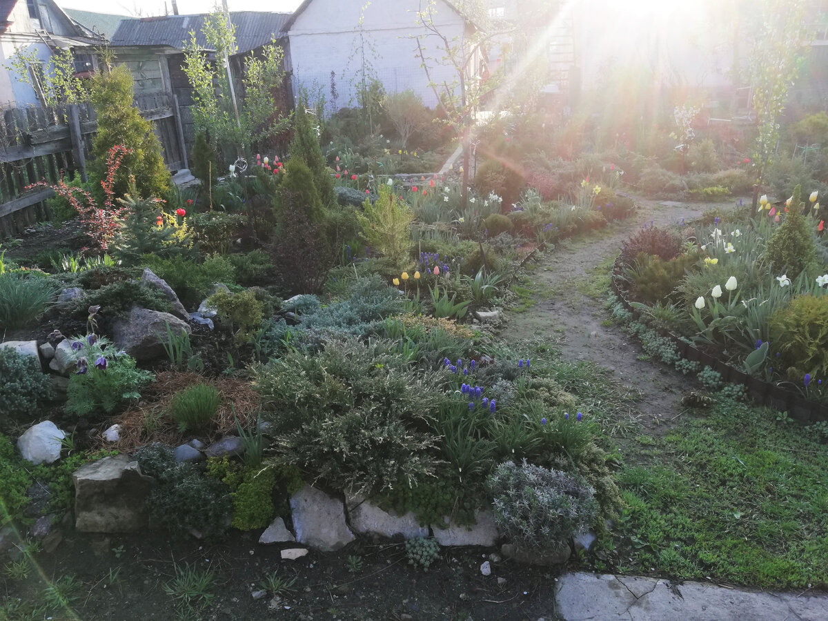 На переднем плане - моя горка сейчас  - на рассвете