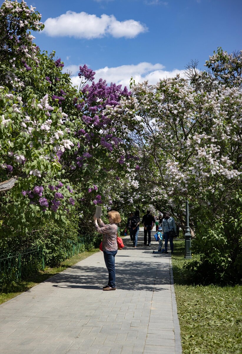Фото ph_zakharenkova 26.05.2021г. Парк Сиреневый сад