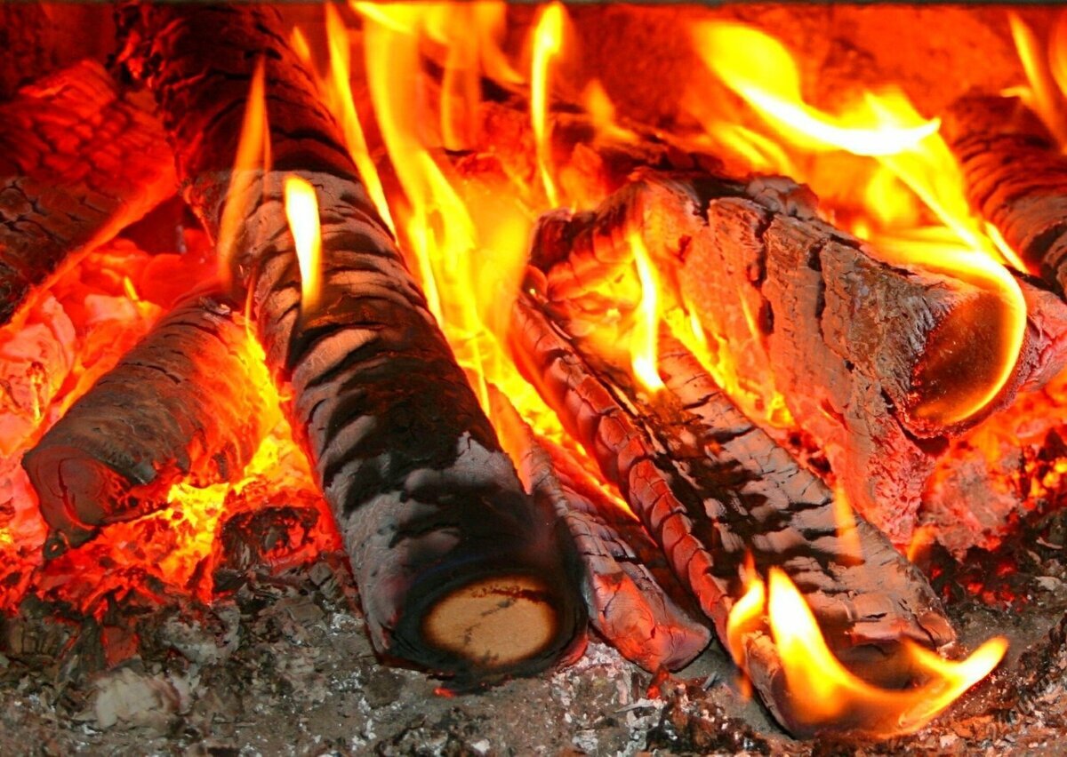 "Горит в печи огонь, поют с тоской поленья,..."