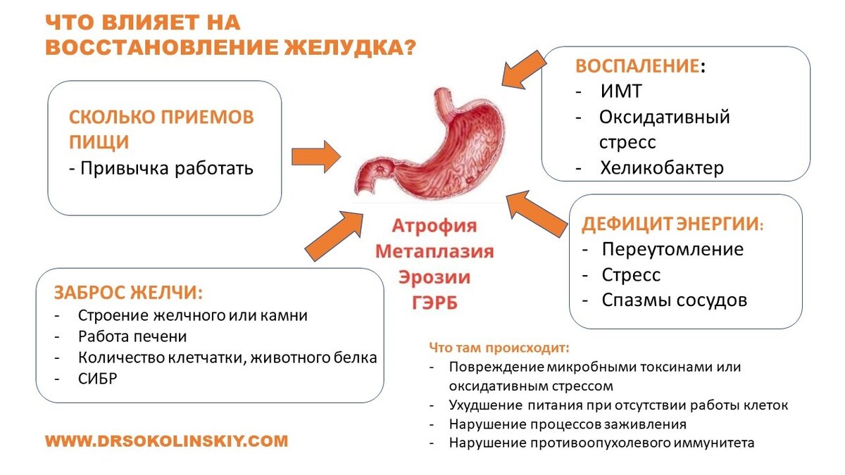 Заброс желчи почему