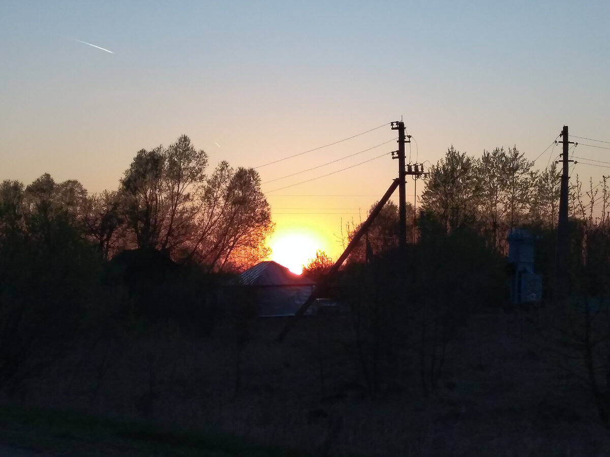 Фото автора.