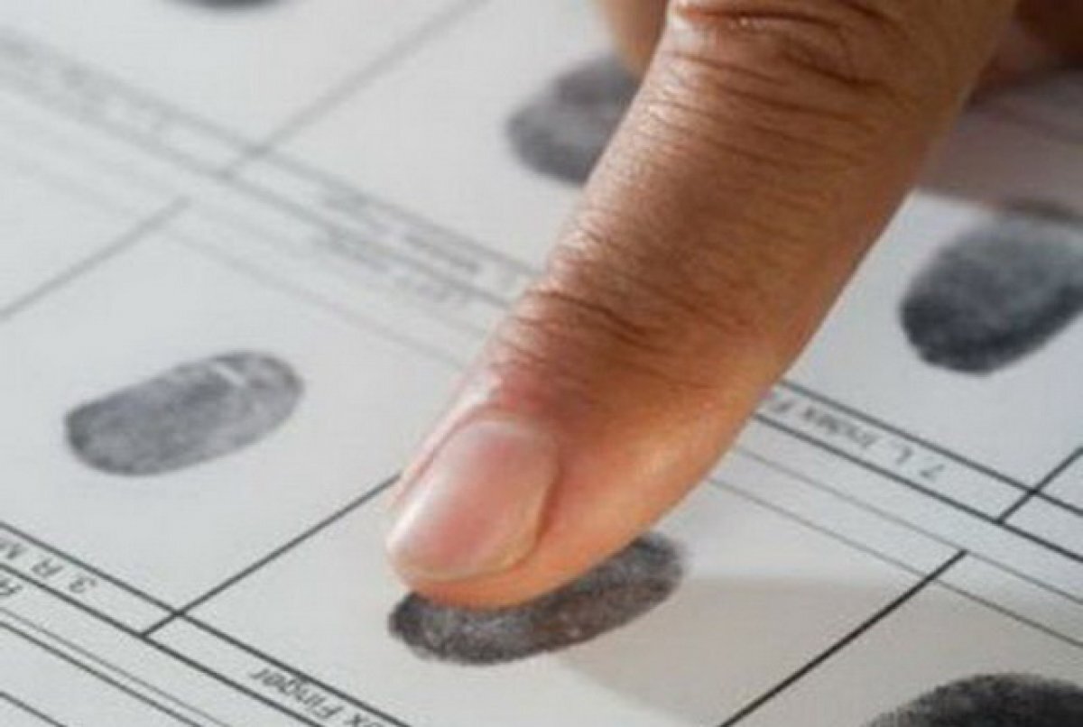    Ученые из Томска разработали новый метод анализа в криминалистике