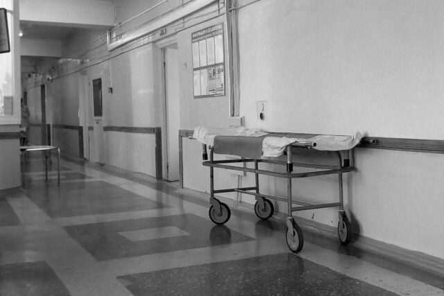 Фото из открытых источников.