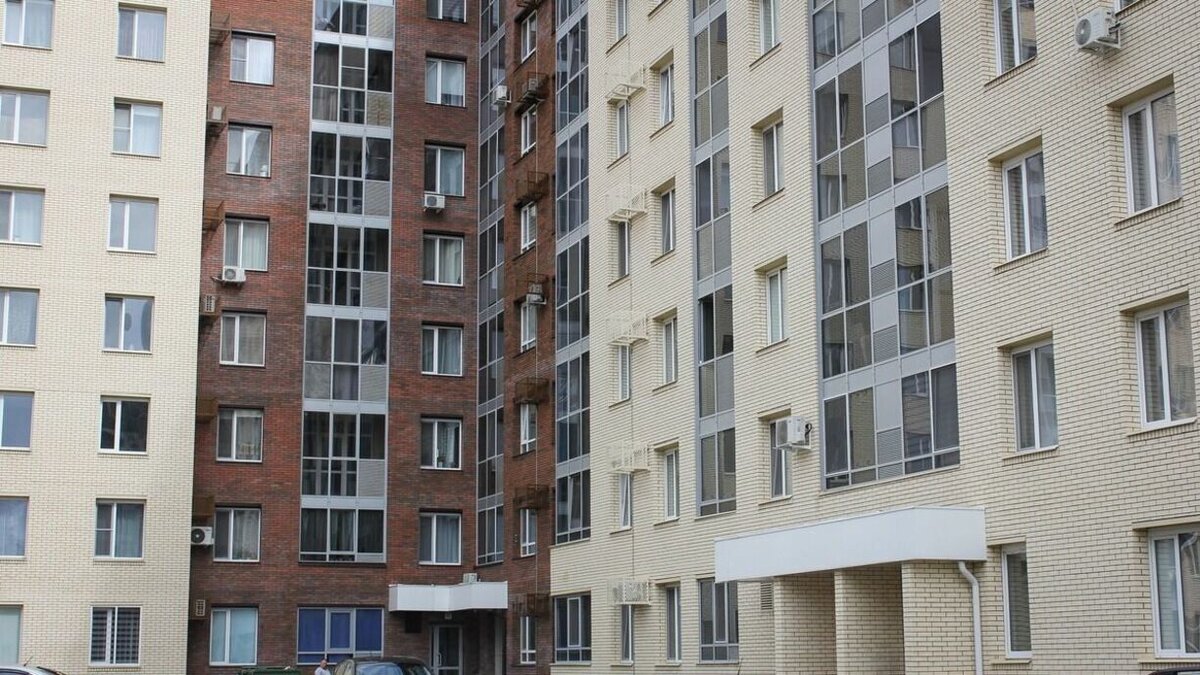     По областной столице бегают зайцы. Об этом сообщила жительница ЖК «Андерсен Парк» в паблике Типичная Тюмень». Местные жители говорят, что животное прибежало в город из-за пожаров.