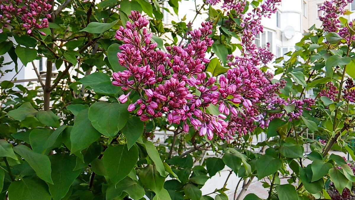 Новая Некрасовка. Смотрю \"глазами жителя\" района. | От Москвы до Сочи ...