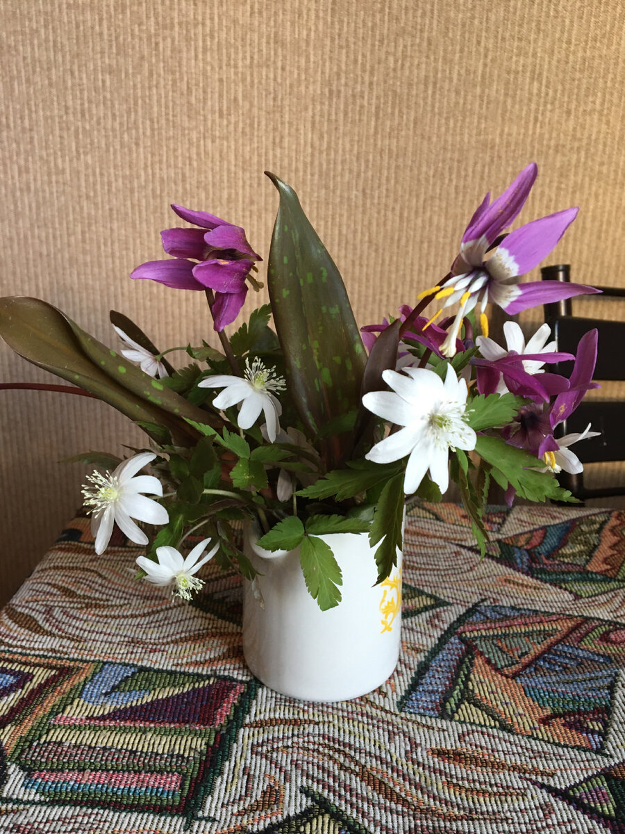 Букетик из леса. Много цветов никогда не рву. Совсем немного беру домой.