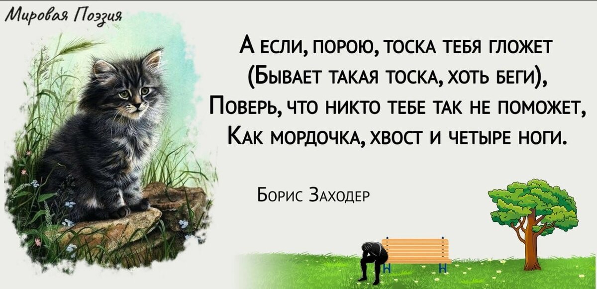Фото взято из интернета.