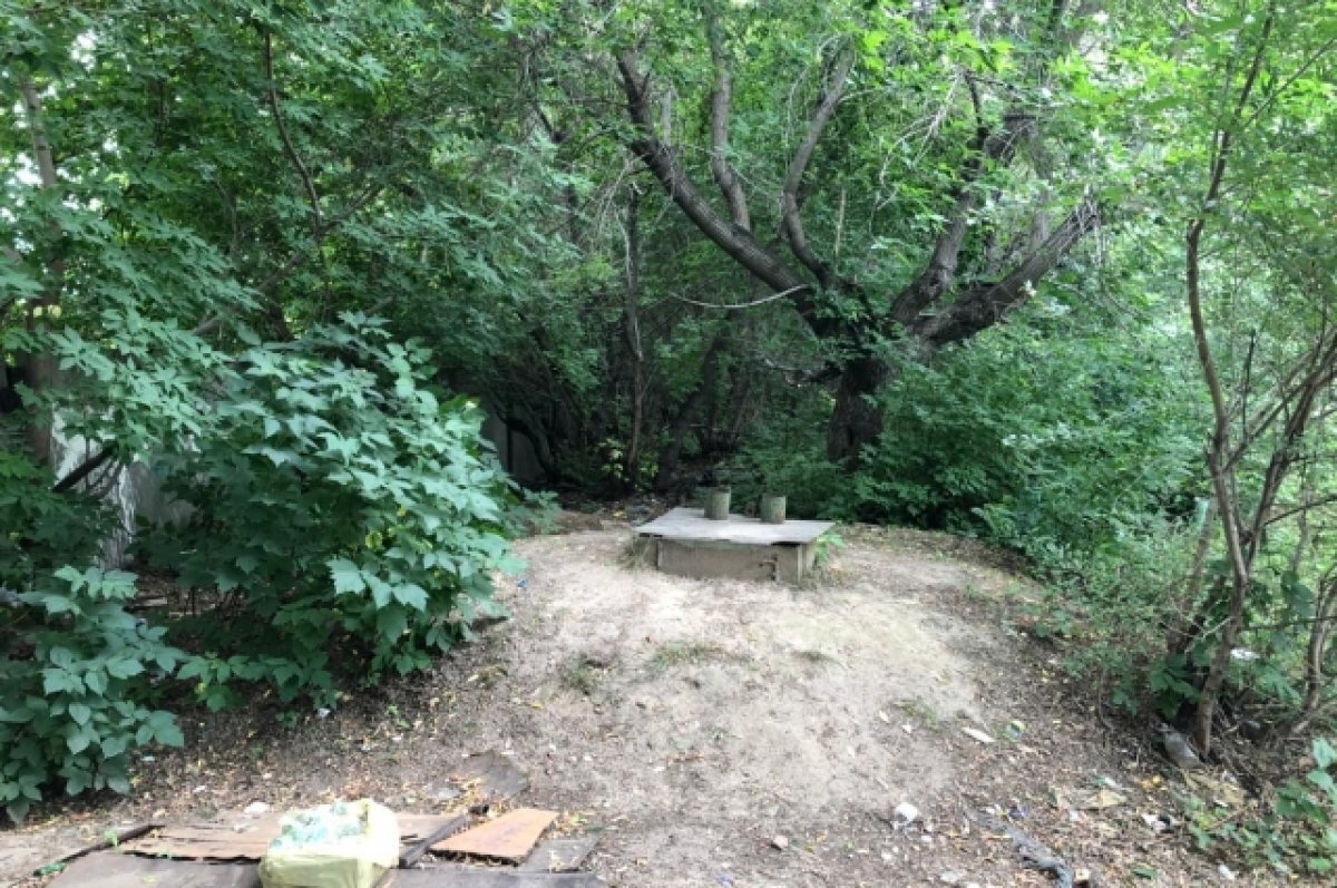    Барнаульцам грозятся заварить крышки погребов, если те не наведут порядок