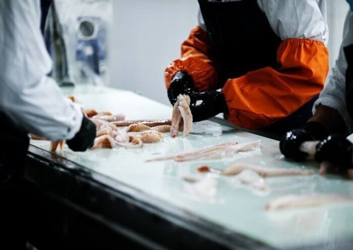 Фото: страница Южно-Курильского рыбокомбината «ВКонтакте»