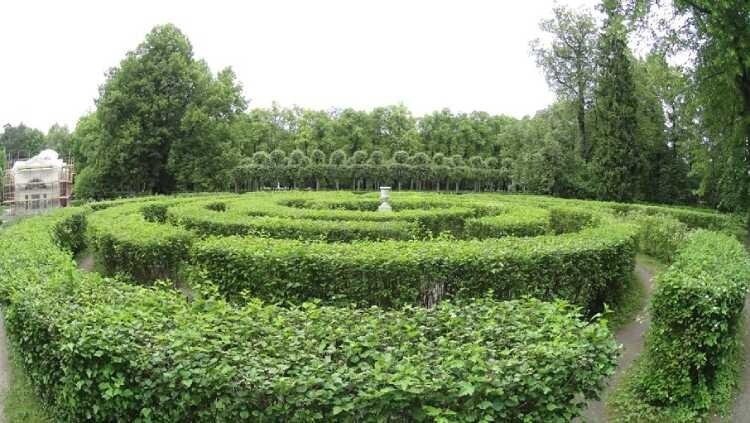 Павловский лабиринт Фото: https://vk.cc/cnUzEs