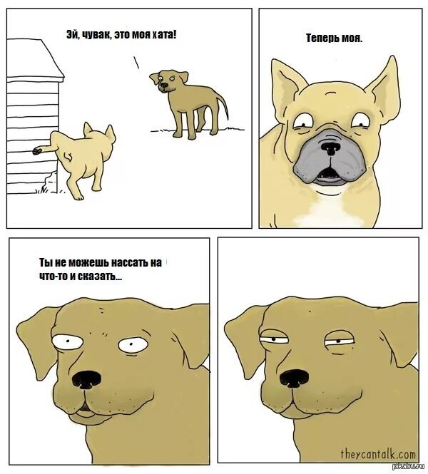 Из интернета