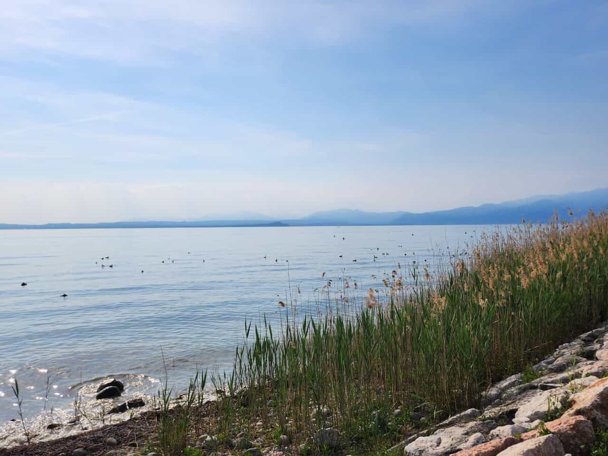 На озере Гарда в Италии тишь да гладь да Божья благодать.