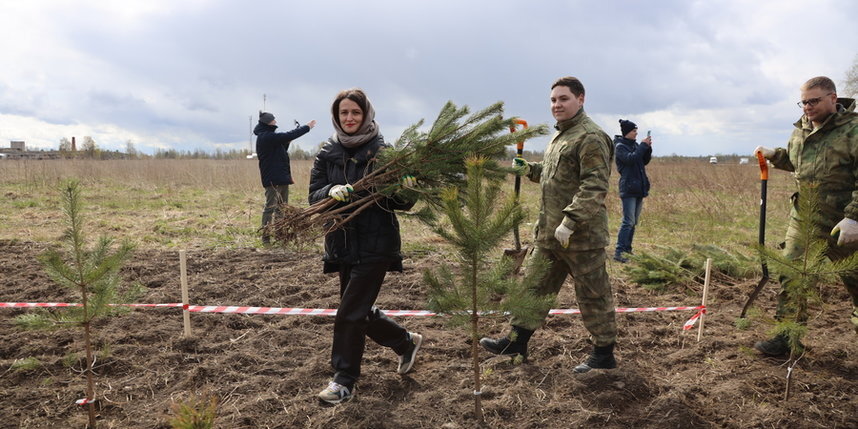    Уникальный геоглиф "Искра" появился в Ленинградской области.предоставлено изданием "Комсомольская правда в Санкт-Петербурге"