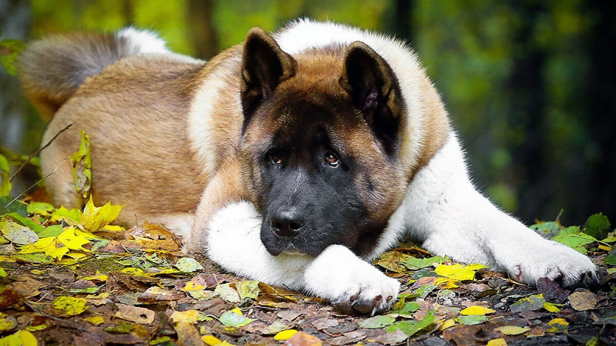 источник фото: proprikol.ru