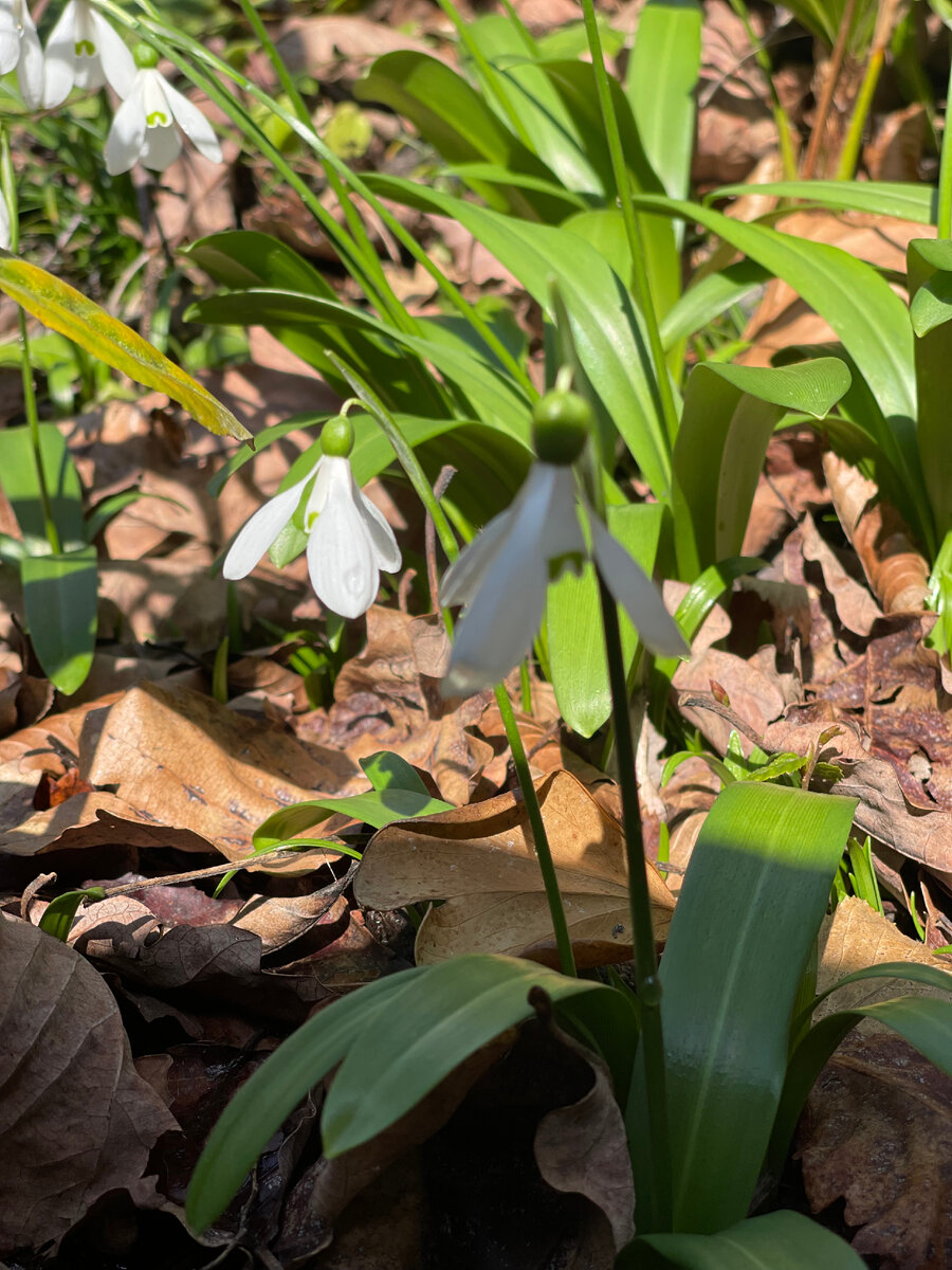 Сочи, март 2023