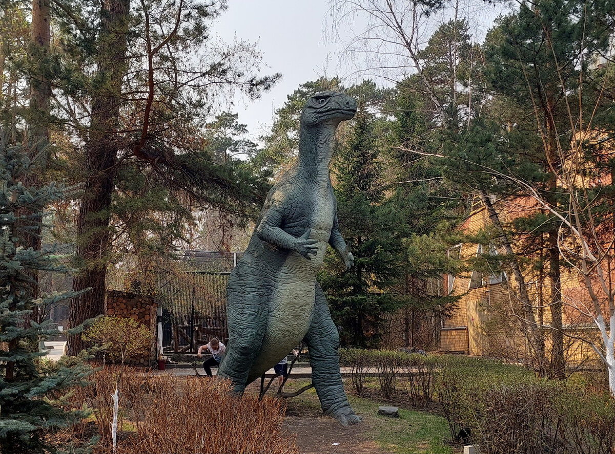 На территории зоопарка есть фигуры динозавров. Они суперские. Дети их обожают. Фото автора