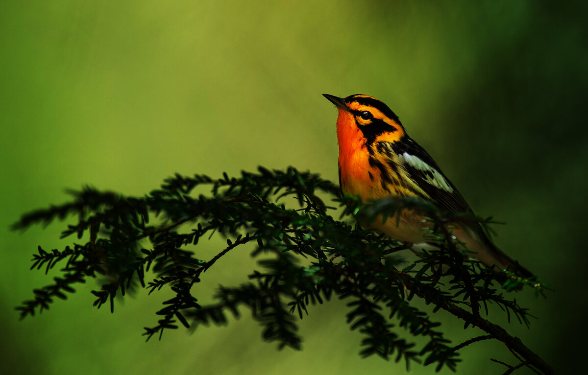 Источник фото Unsplash