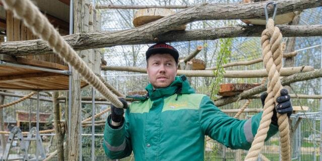    Лемурам построили многоуровневые декорации.Алена Бобрович