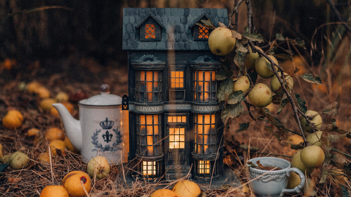 Домик-конструктор «Лавка Олливандера»