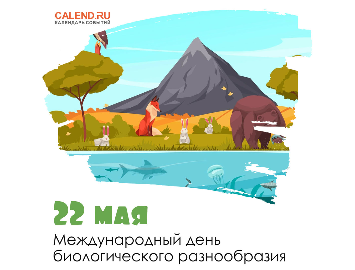 22 мая день биологического разнообразия картинки