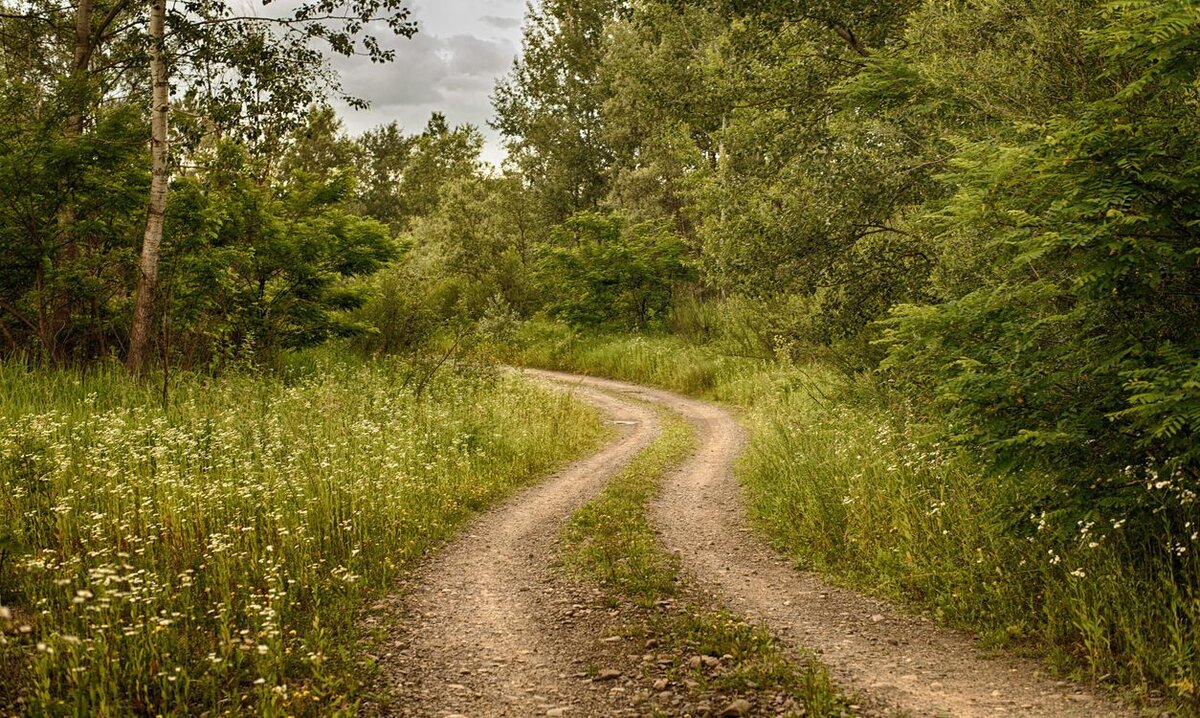 Картинка из источника в свободном доступе.