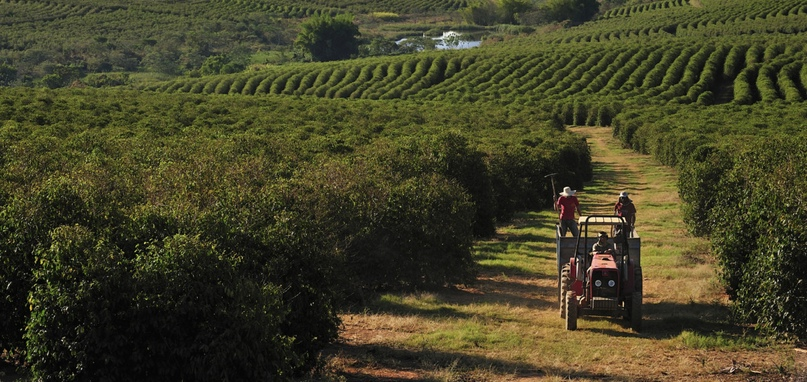 #VraimeСвежеобжаренныйНатуральныйКофе