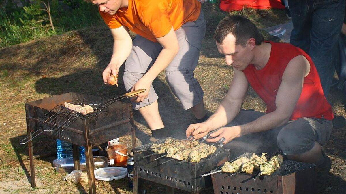 Долысское озеро пикник