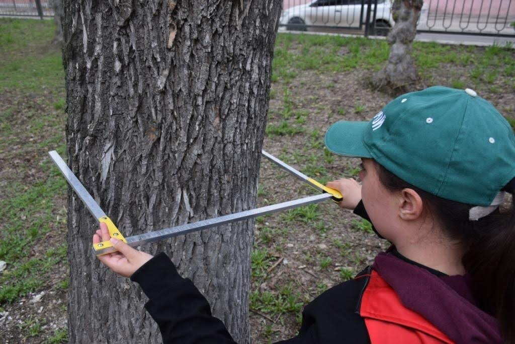 Например, наша команда работает в отрасли более 15 лет - за это время мы выполнили более 100 муниципальных и государственных контрактов. Репутация и наработанный опыт специалистов позволяют нам выполнять заказы максимально эффективно и оперативно!