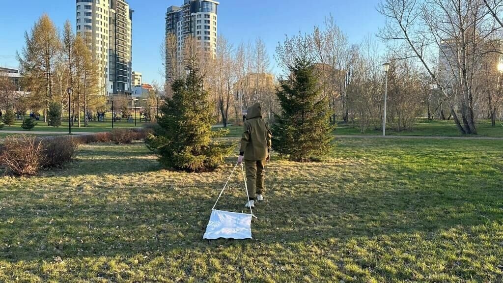     В мэрии рассказали, как проходит противоклещевая обработка городских территорий.