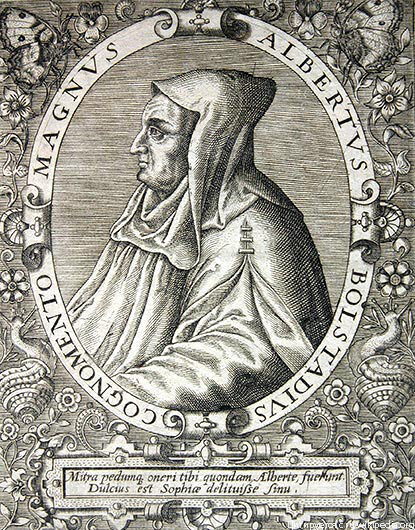 Альберт Великий (Albertus Magnus)