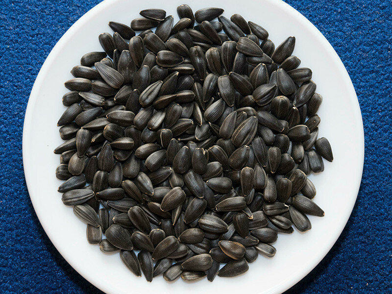 Добавьте описание