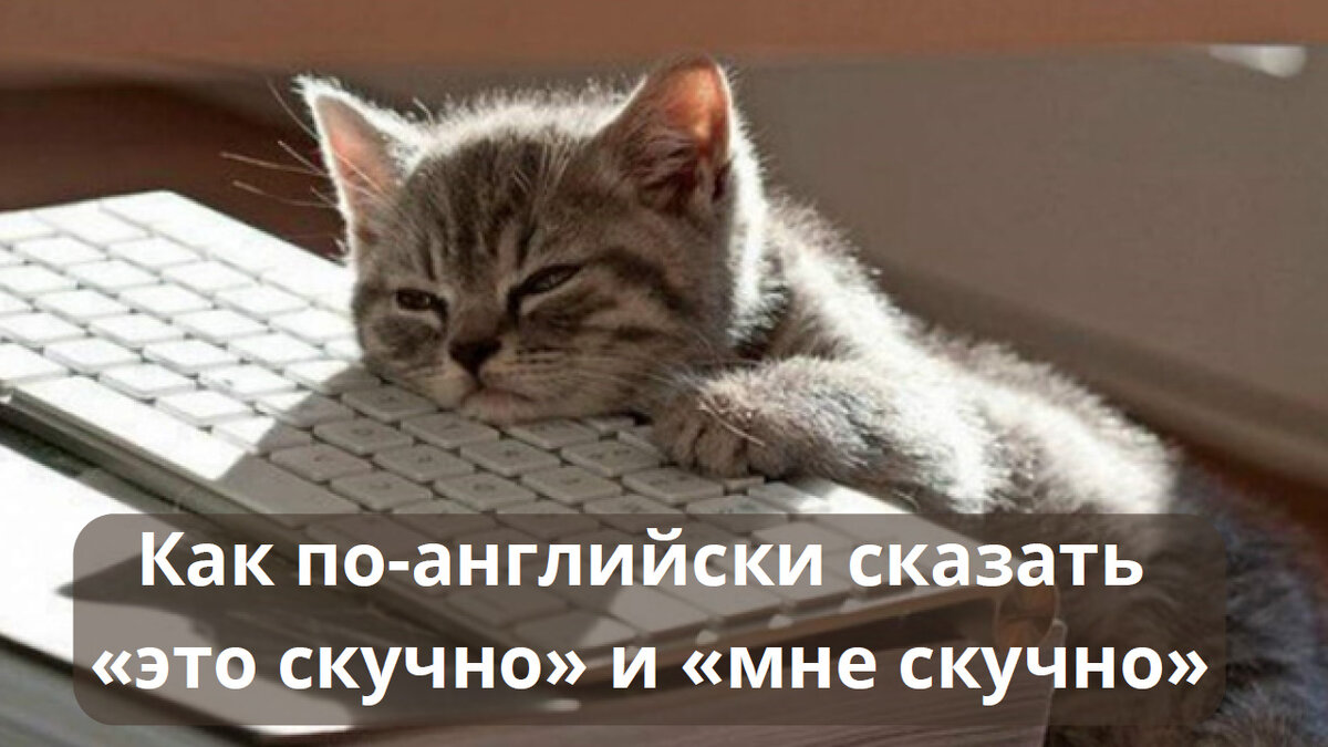 Как по-английски сказать «это скучно» и «мне скучно» | Мой любимый  английский | Дзен