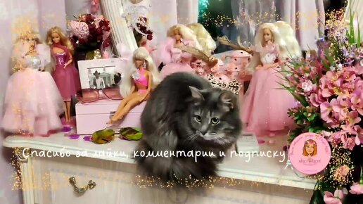 🌱 Девочки как 💐куколки, а Ганс 🐱показывает, как можно быть ангелом 💓