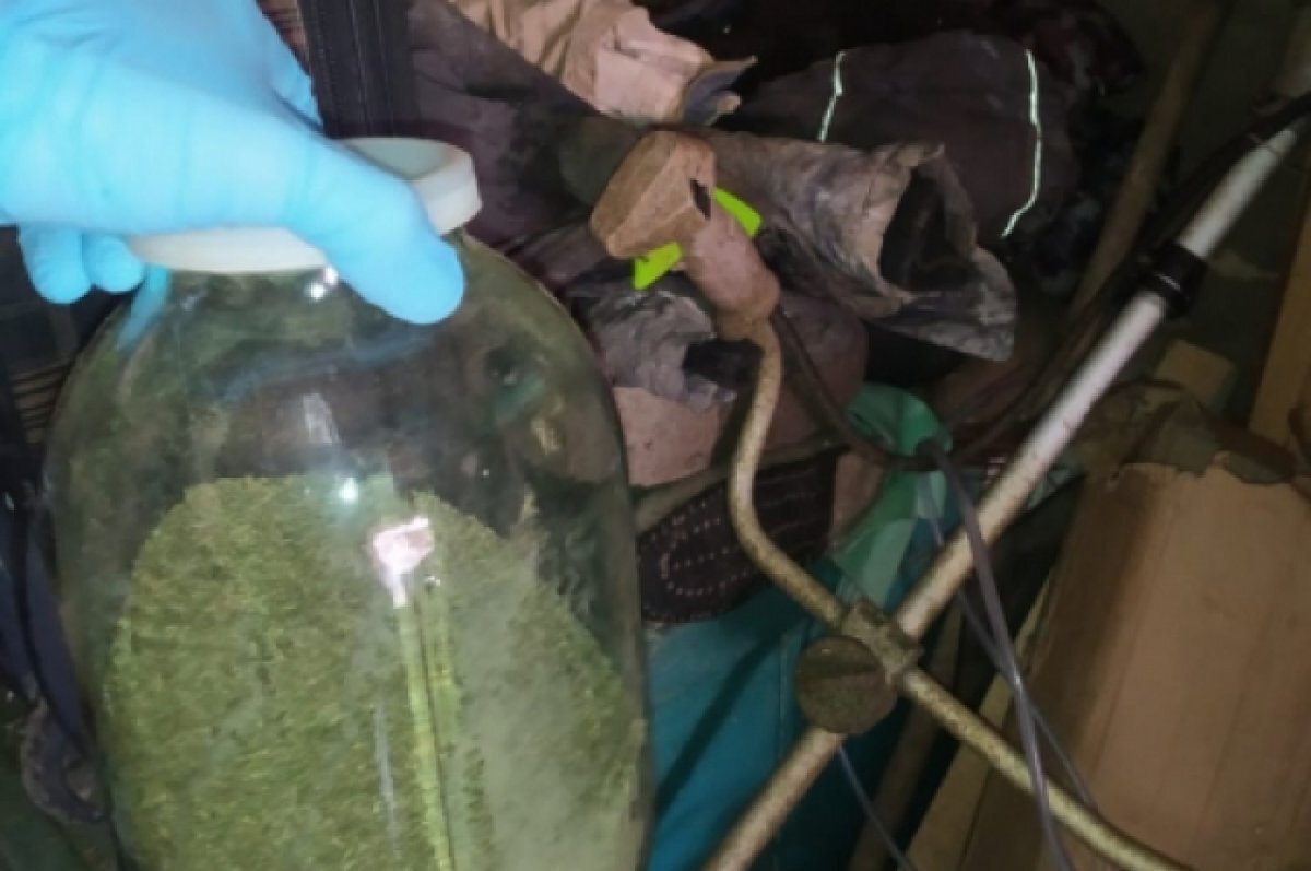    Жителя Старицы задержали за хранение растительных наркотиков в гараже